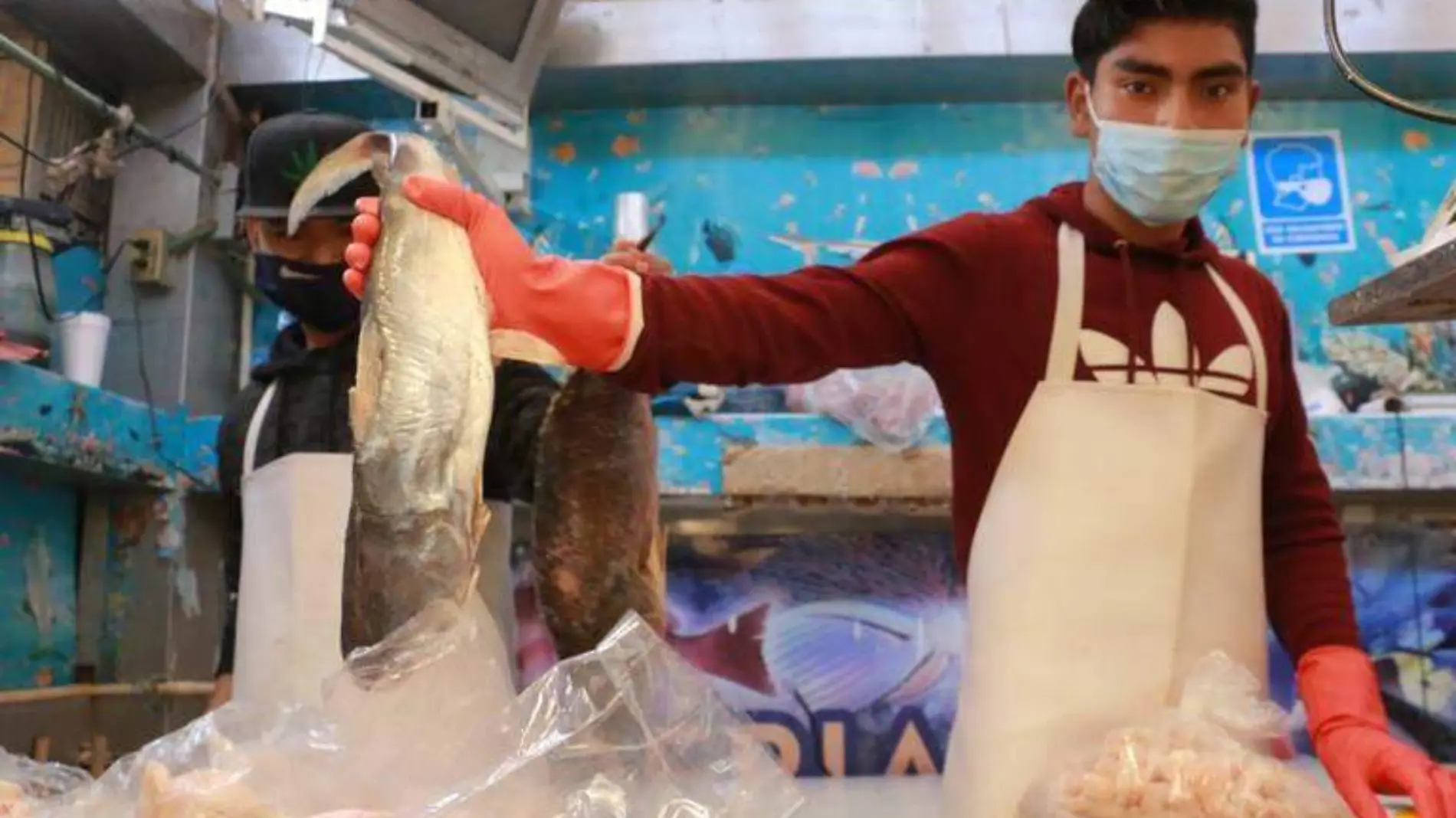 pescados y mariscos pescado cuaresma peces